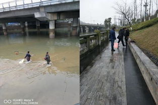 區畜牧局重拳出擊 多措并舉開展漁業“打非”專項行動，規范畜牧漁業飼料銷售市場