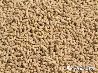 討要飼料款遇“神逆轉(zhuǎn)”，養(yǎng)殖戶反訴飼料致生豬死亡